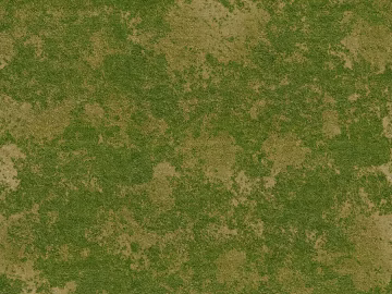 Lawn texture (ID:ffach245166)