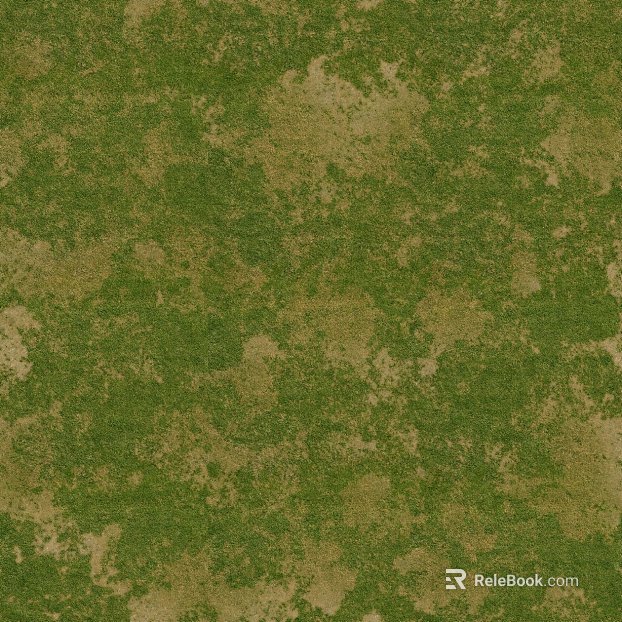 Lawn texture