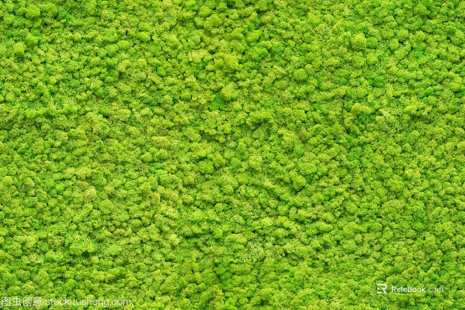 moss texture