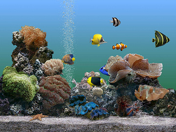 Fish tank texture (ID:ffajg06540)