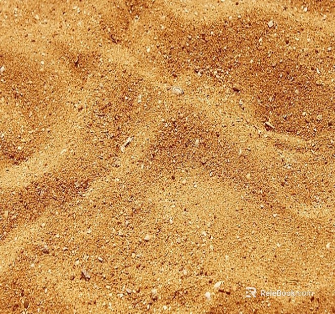 Beach texture