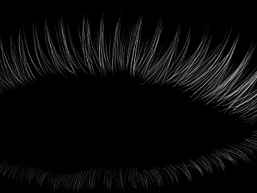Black and White Eyelash Eye Organ Map texture (ID:ffaeh254032)