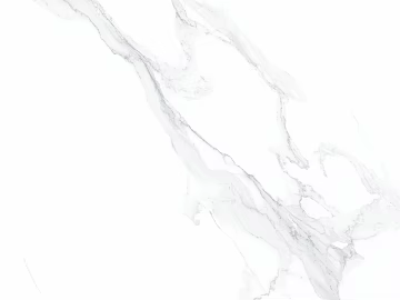 Grand General Tile Marble Caracata White 3d model
