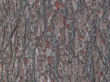 bark texture (ID:ffaeg92209)