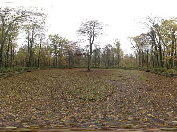 autumn forest park landscape daytime hdr texture (ID:ffabg21301)
