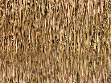 Thatched roof texture (ID:ffacg10507)