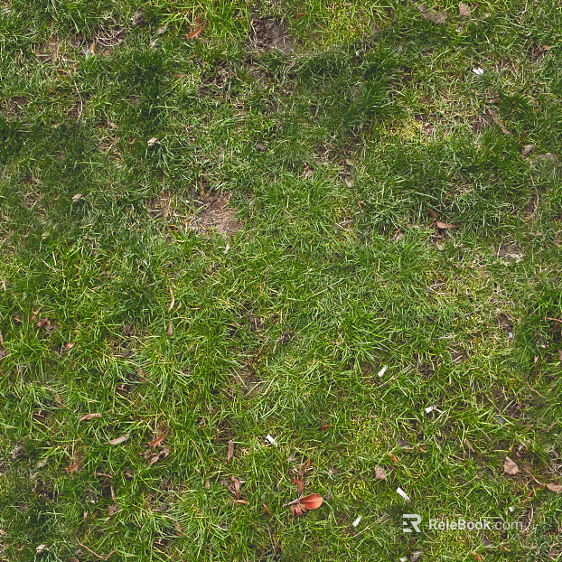 Turf texture