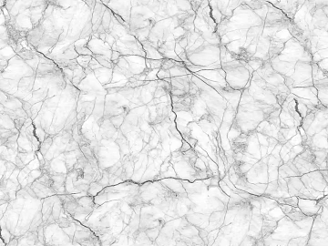 black and white reticulated marble texture (ID:ffaeh075454)