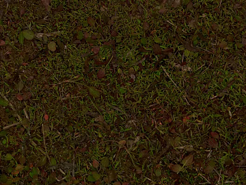 Turf texture (ID:ffaef8544)