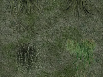 Grayish Green Herbaceous Plant Outdoor Ground texture (ID:ffaeh553274)