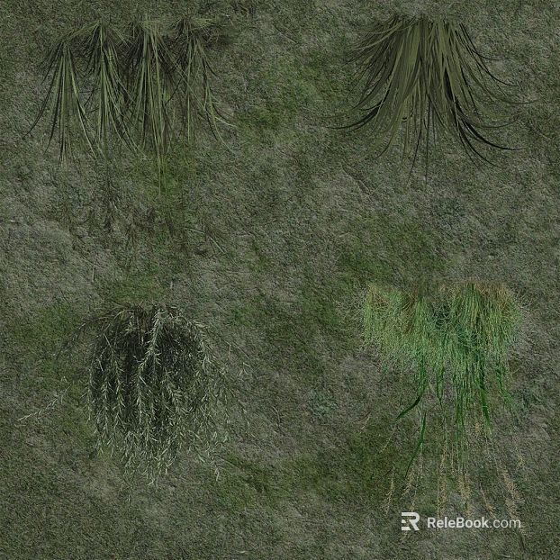 Grayish Green Herbaceous Plant Outdoor Ground texture