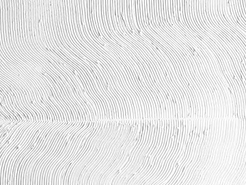 diatom mud texture (ID:ffabg70331)