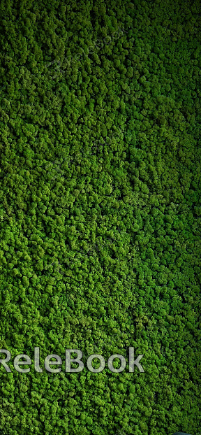 The image displays a lush, verdant scene of various green plants with broad leaves, thriving under a mesh cover, possibly in a garden or greenhouse setting.