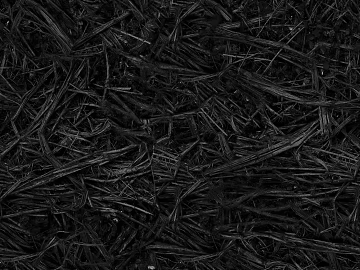 Black and White Bump 3d model