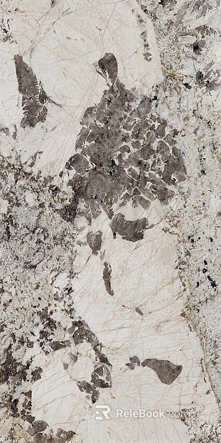 Pandora Marble Luxury Stone Rock Slab Large Slab Tile texture