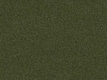 Grassland texture (ID:ffagg20075)
