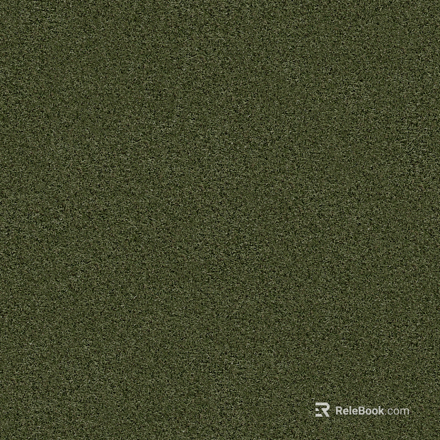 Grassland texture