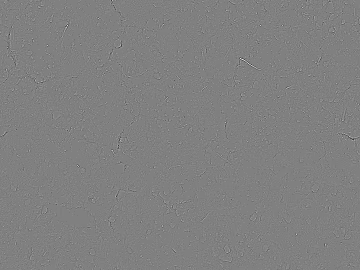 Black and White Bump texture (ID:ffacg42898)