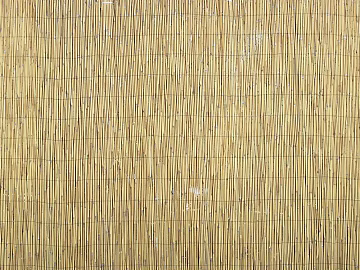 Bamboo texture (ID:ffajg61981)