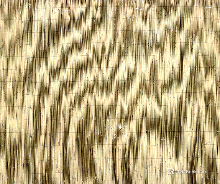 Bamboo texture