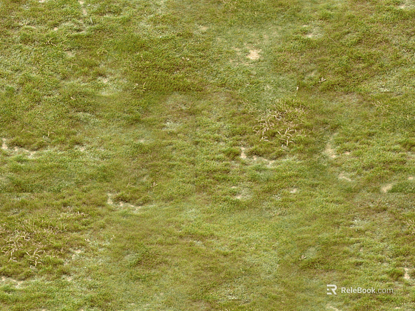 Turf texture
