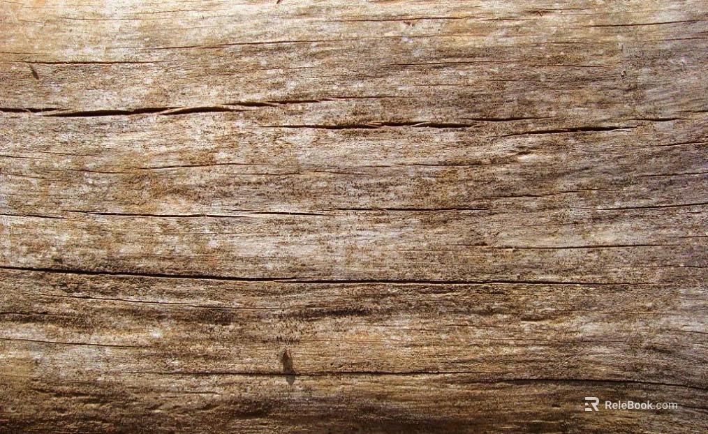 Wood grain texture