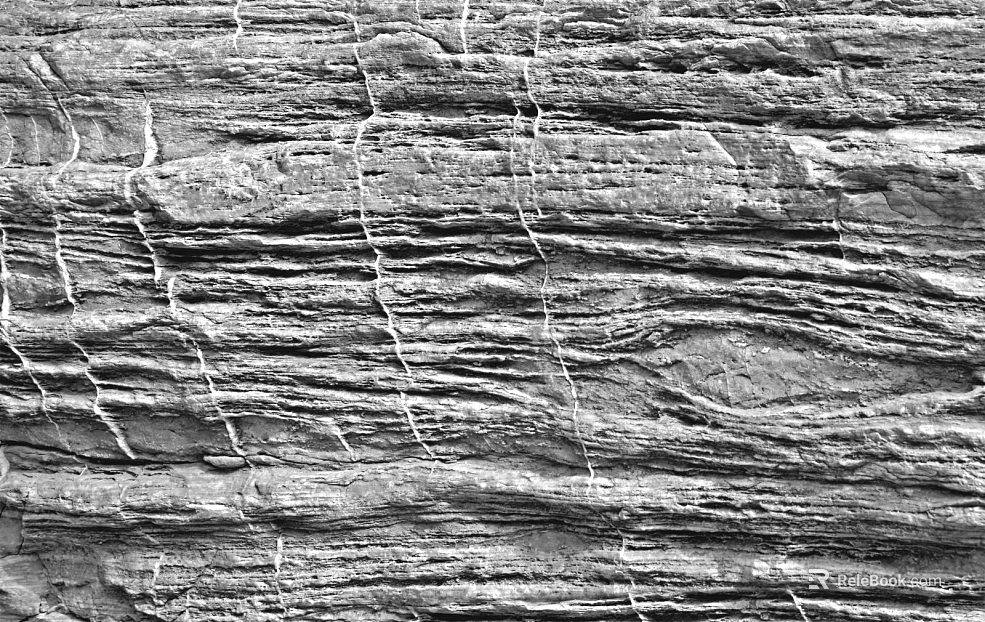 Black and White Bump texture
