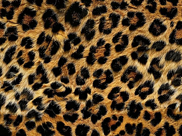 Leopard print texture (ID:ffach878865)