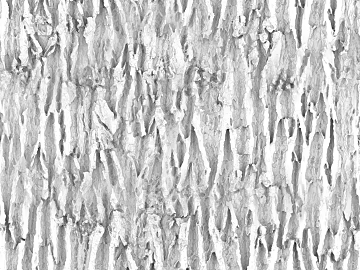 Black and White Bump texture (ID:ffach213016)