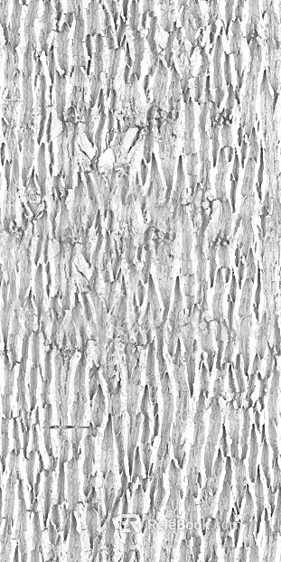 Black and White Bump texture