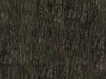 bark texture (ID:ffaag23357)