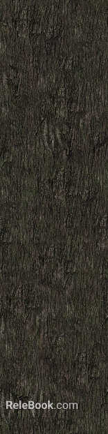 bark texture
