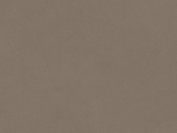 fine grain leather texture (ID:ffaag11014)