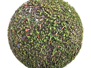 Grassland PBR texture (ID:ffach453851)