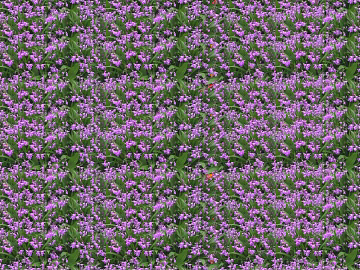 Flowers texture (ID:ffaff9126)