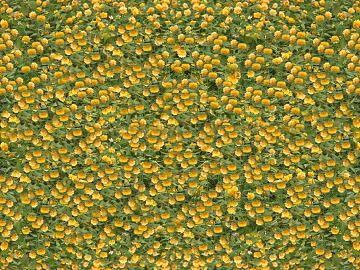 Flowers texture (ID:ffaeg91989)