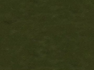 Turf texture (ID:ffagg37108)