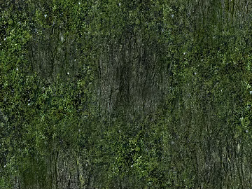 moss 3d model