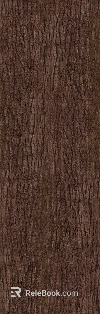bark texture