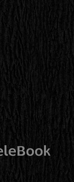 bark texture