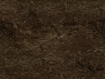 Mud texture (ID:ffacg68197)