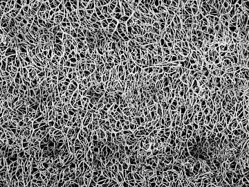 Black and White Bump texture (ID:ffaeg72454)