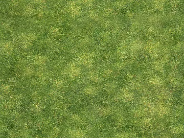 Outdoor lawn texture (ID:ffach348706)