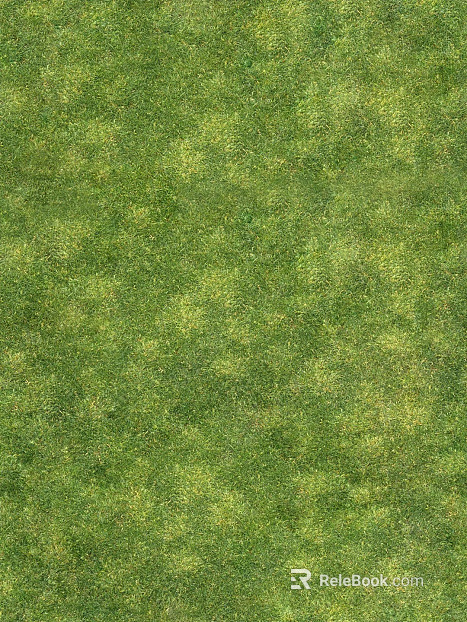 Outdoor lawn texture