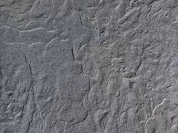 diatom mud texture (ID:ffaeg92287)