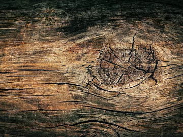 old wood dark old wood texture (ID:ffaeg10968)