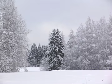 Snow texture (ID:ffaeg91884)