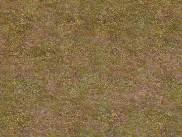 mountain grassland grassland mountain texture (ID:ffach498938)