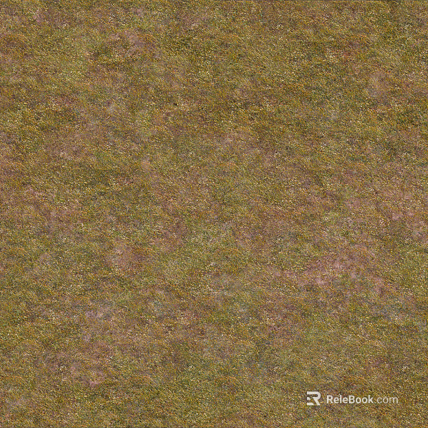 mountain grassland grassland mountain texture