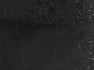 Black and White Bump texture (ID:ffajg31024)